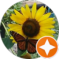 holly c. Avatar