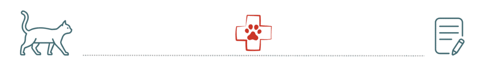 pet insurance preventive care cats and dogs Republican Valley Veterinary Clinic Saint Francis KS