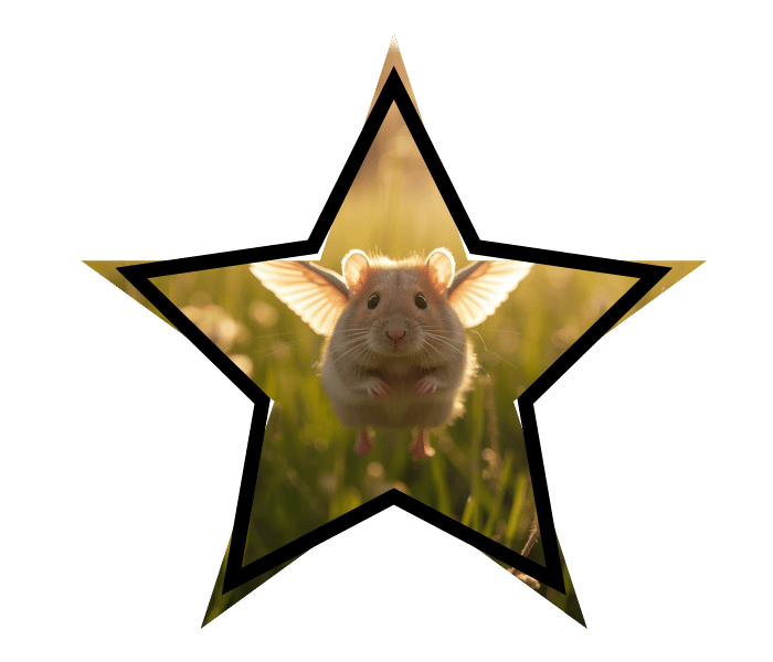 A hamster with wings illustrating pet health myths in Saint Francis, KS